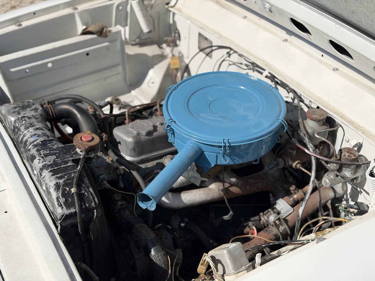 IMG_8610 2 – grande.jpeg