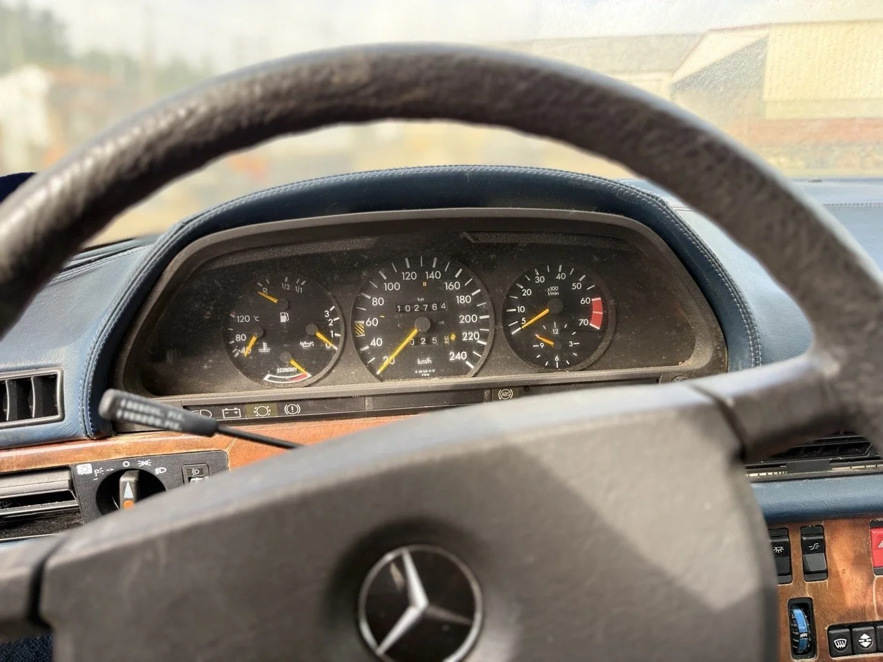 IMG_3354 – grande.jpeg