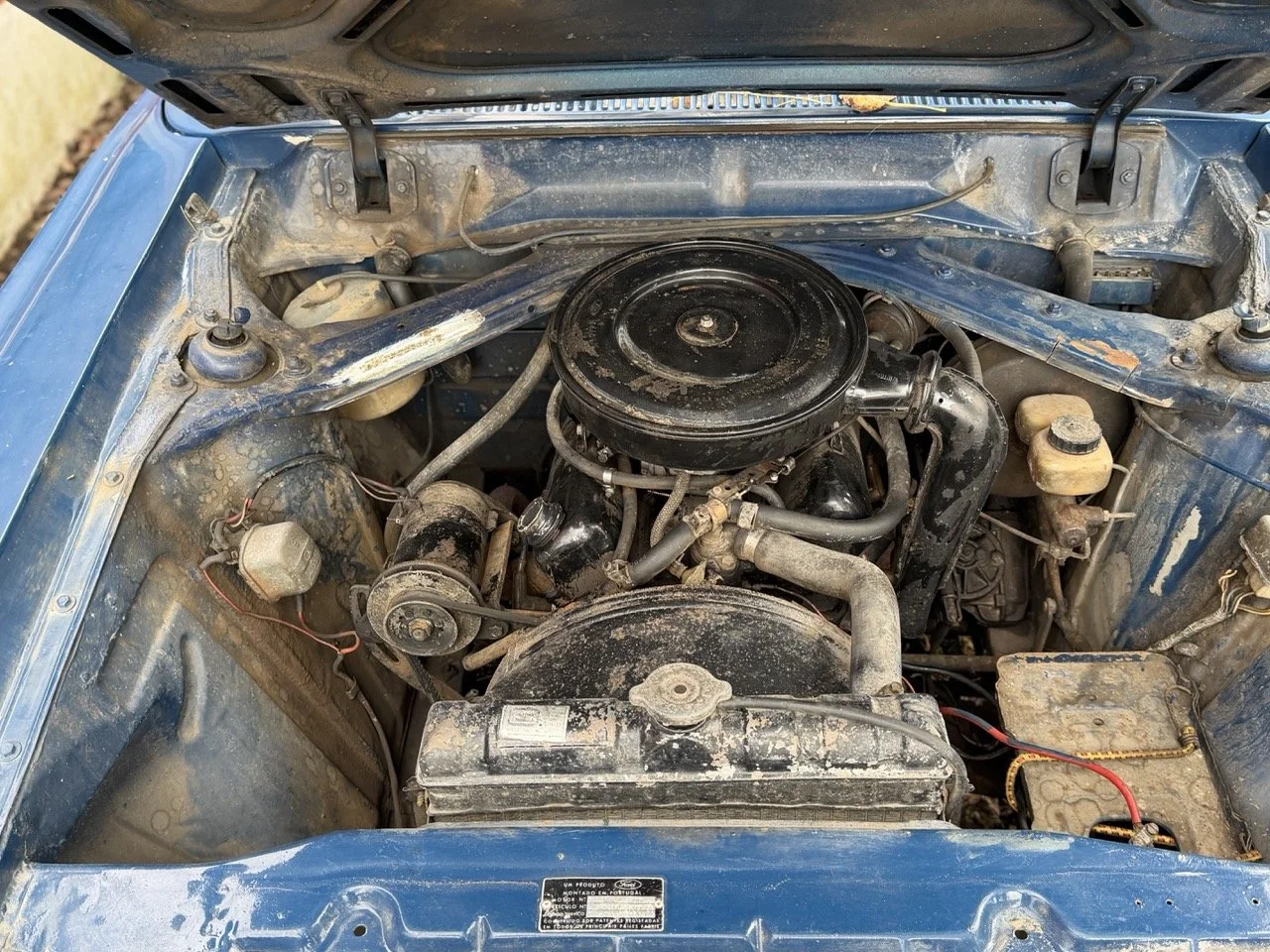 IMG_4929 – grande.jpeg