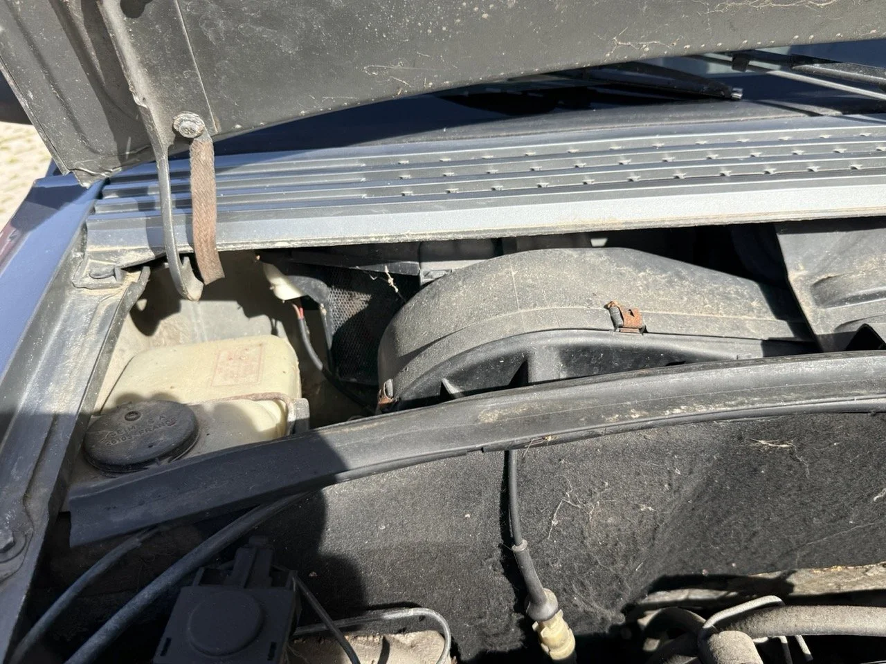 IMG_2558 – grande.jpeg