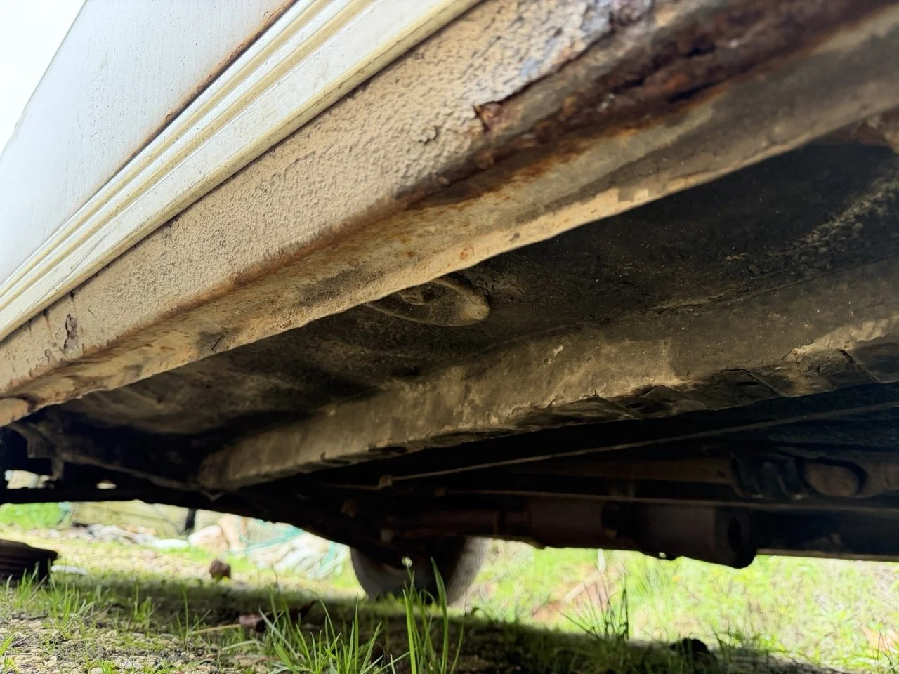 IMG_4902 – grande.jpeg