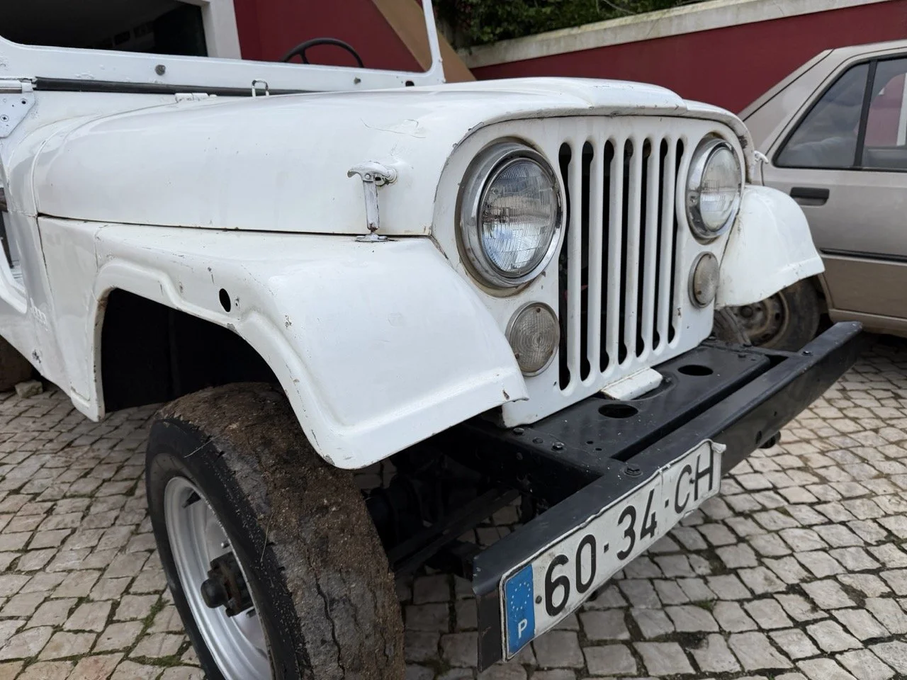 IMG_3917 – grande.jpeg