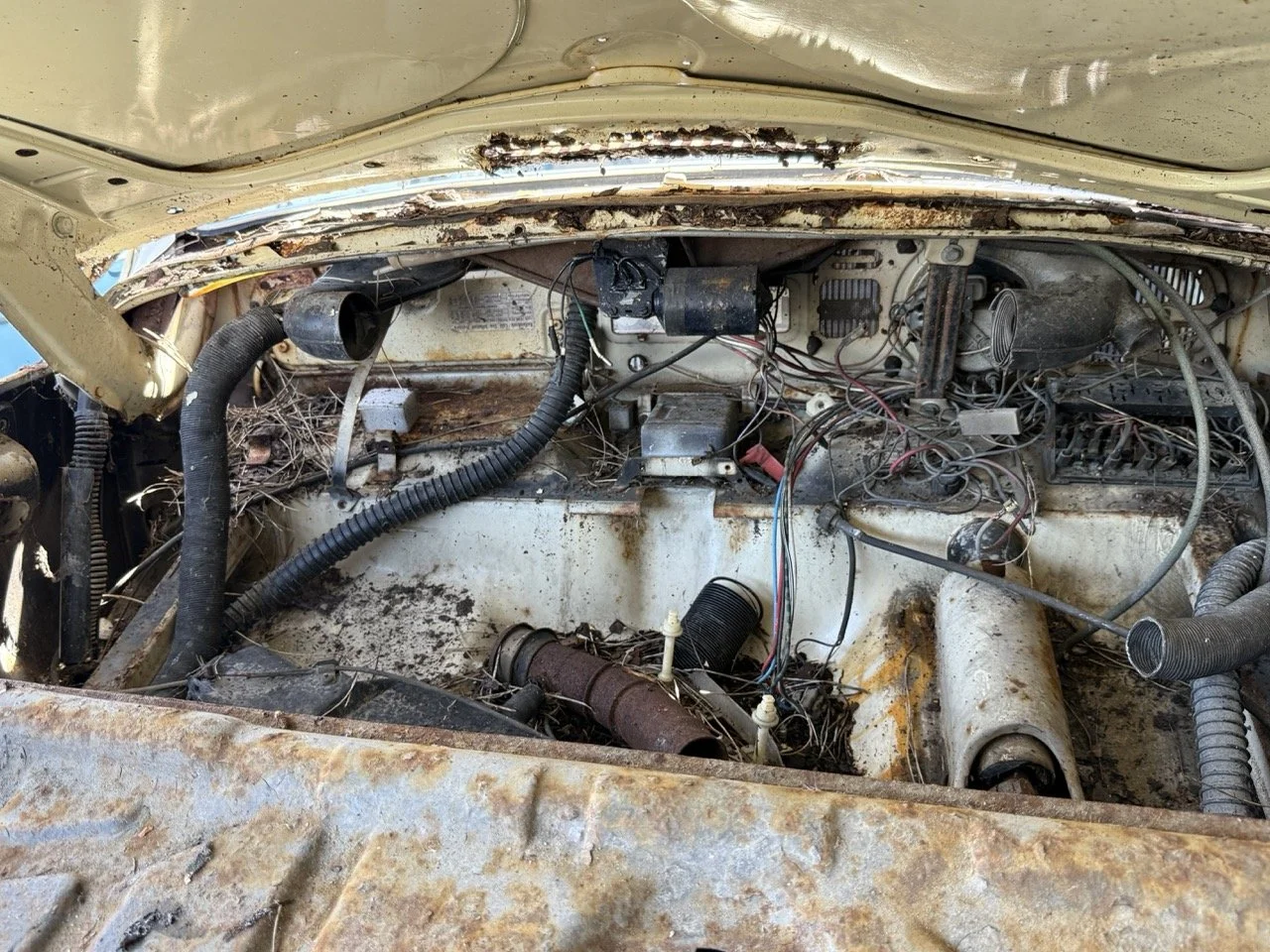 IMG_0643 – grande.jpeg