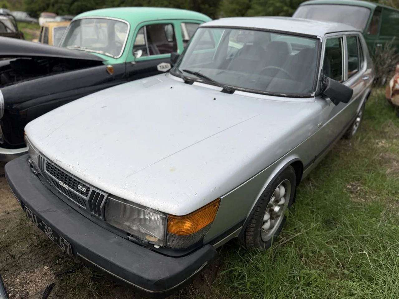 IMG_4983 – grande.jpeg