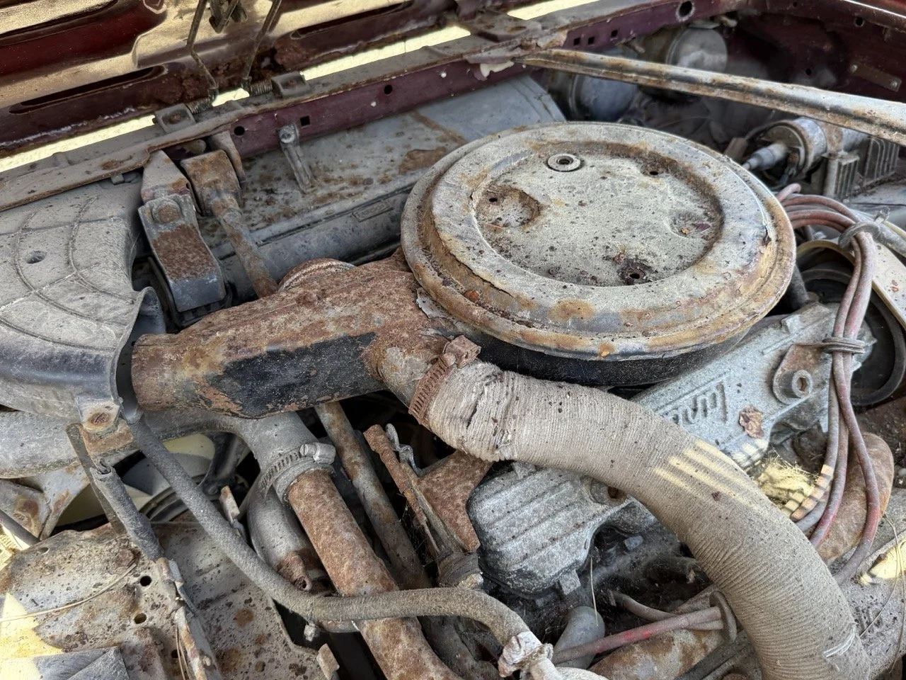 IMG_0926 – grande.jpeg