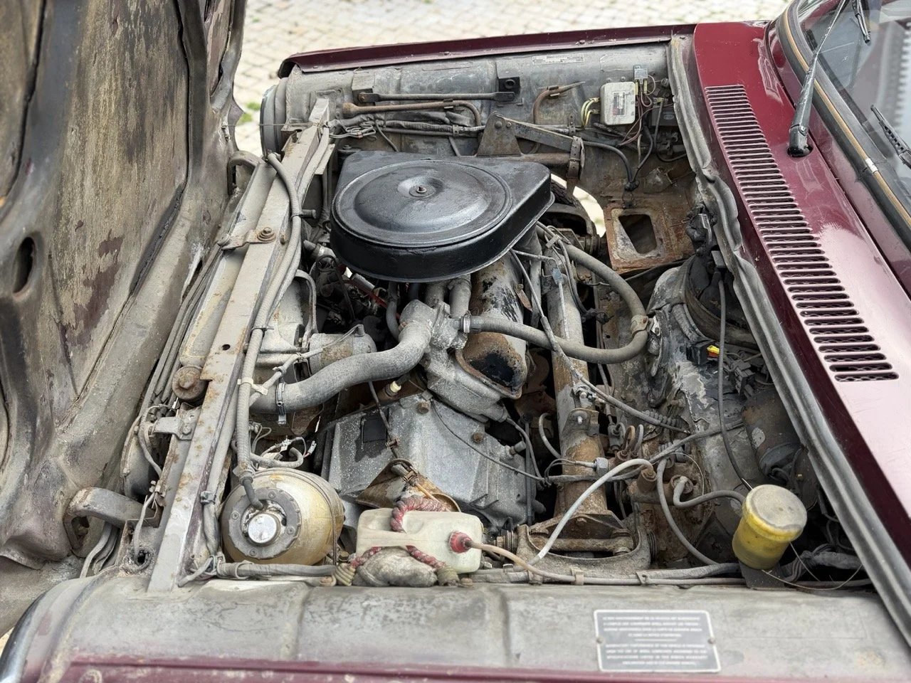 IMG_4905 – grande.jpeg