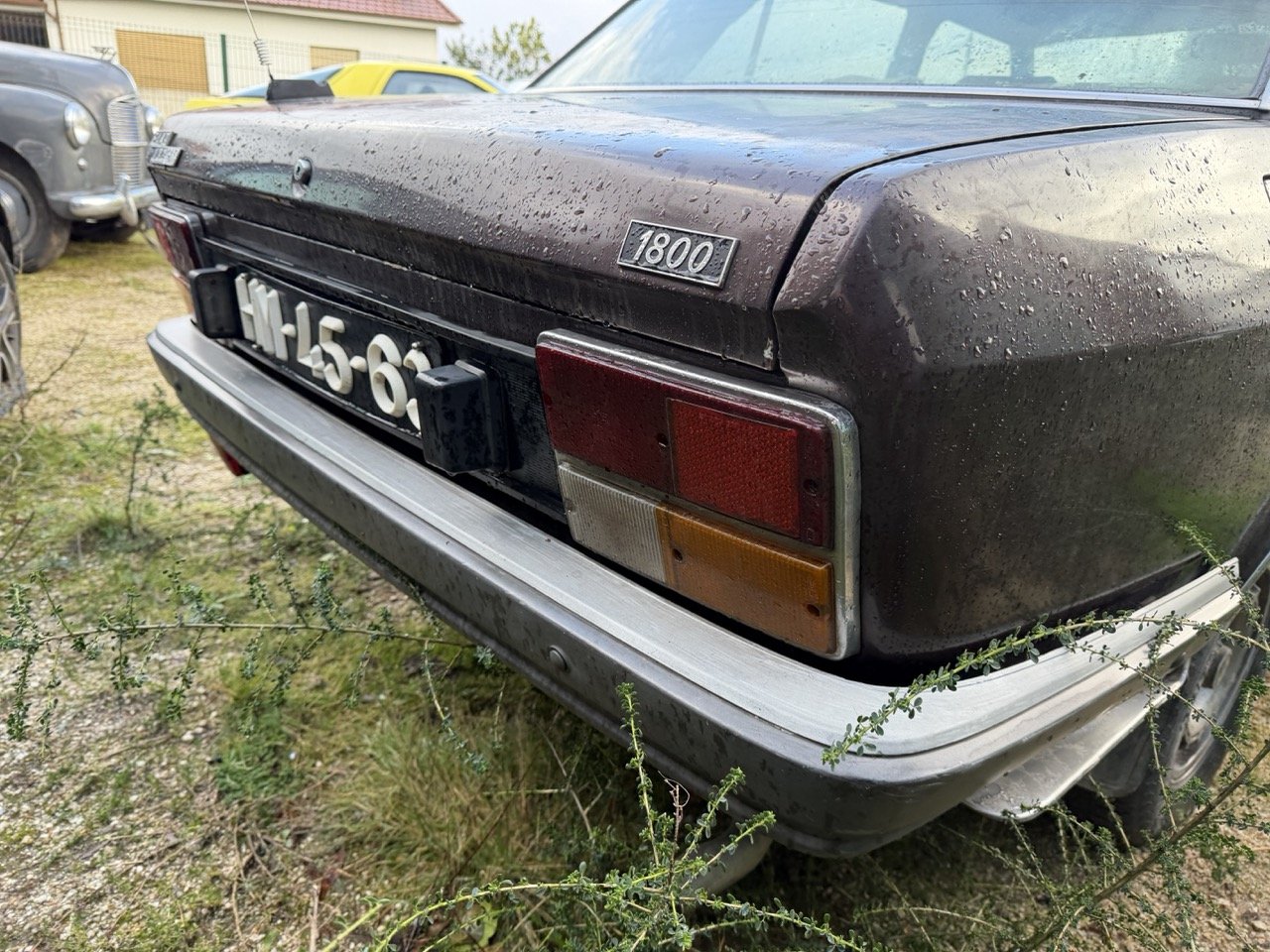 IMG_5267 – grande.jpeg