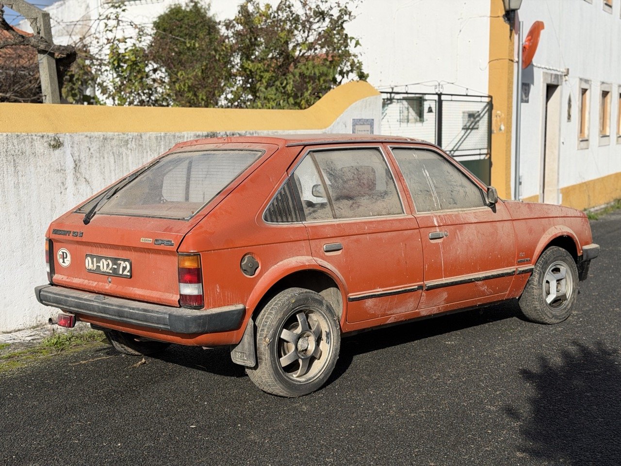 IMG_2927 – grande.jpeg