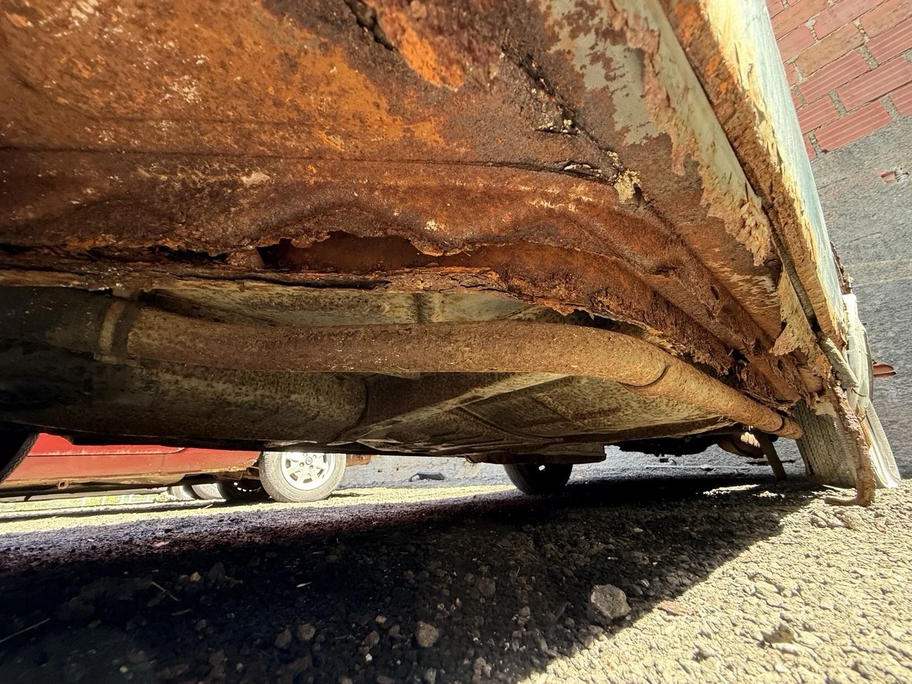 IMG_0886 – grande.jpeg