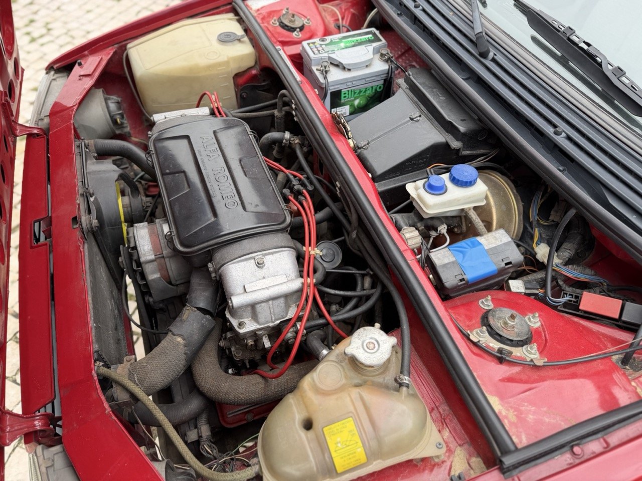 IMG_3473 – grande.jpeg