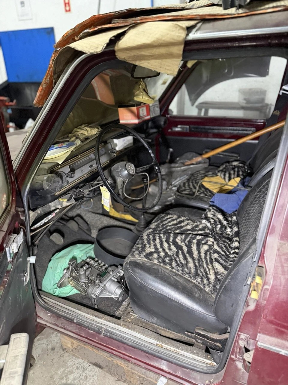 IMG_2582 – grande.jpeg