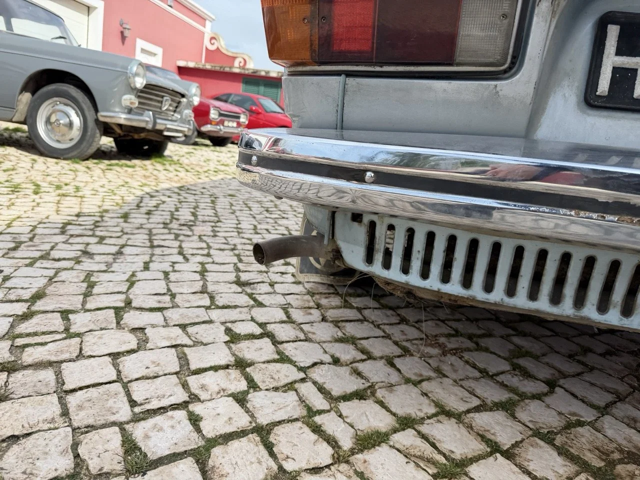 IMG_4866 – grande.jpeg