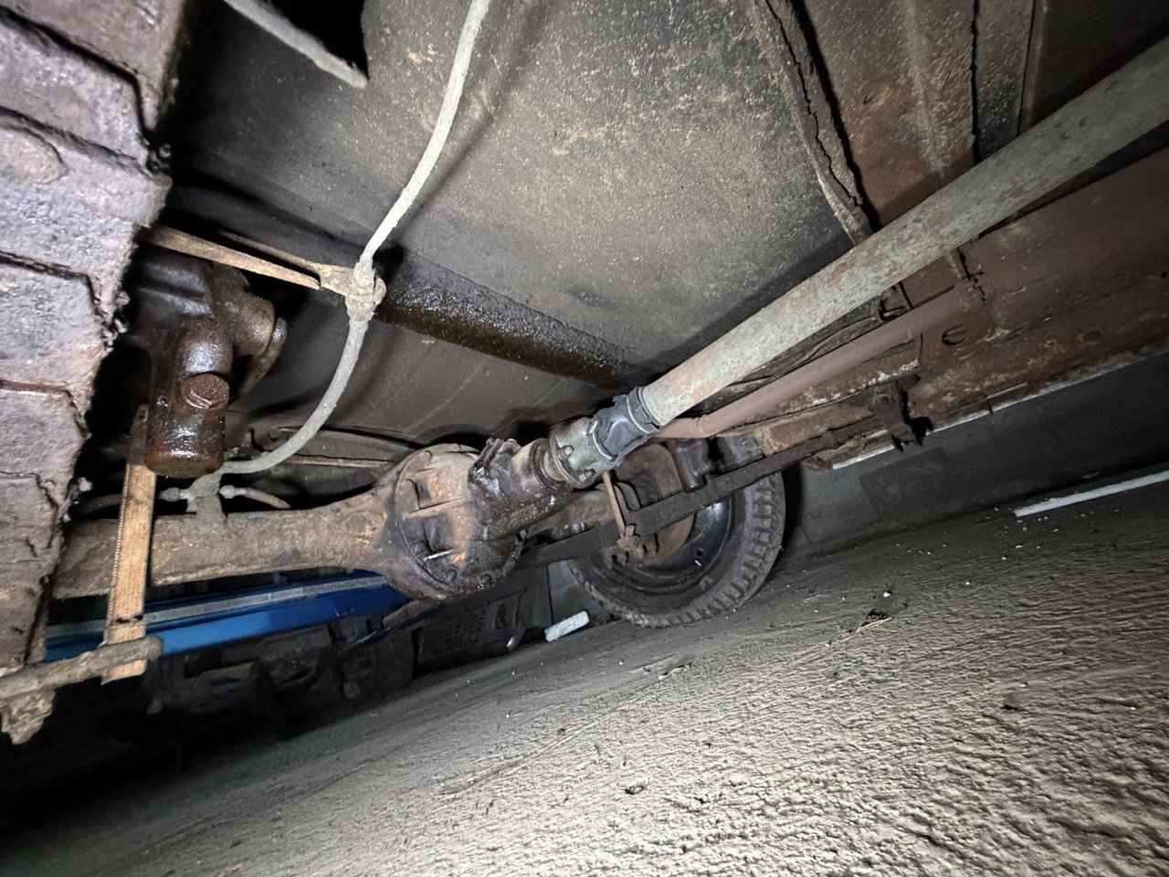 IMG_2504 – grande.jpeg