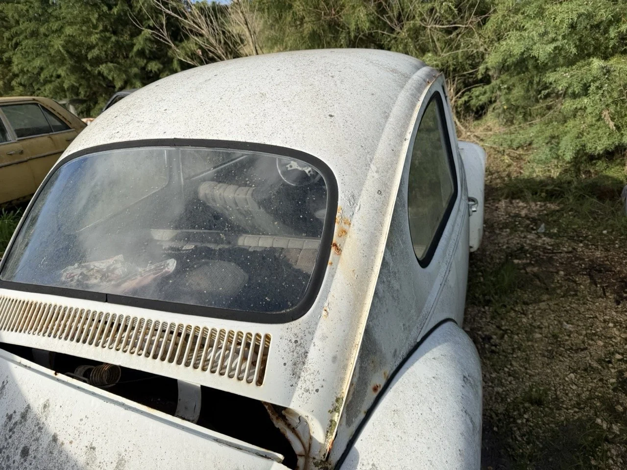 IMG_8578 – grande.jpeg