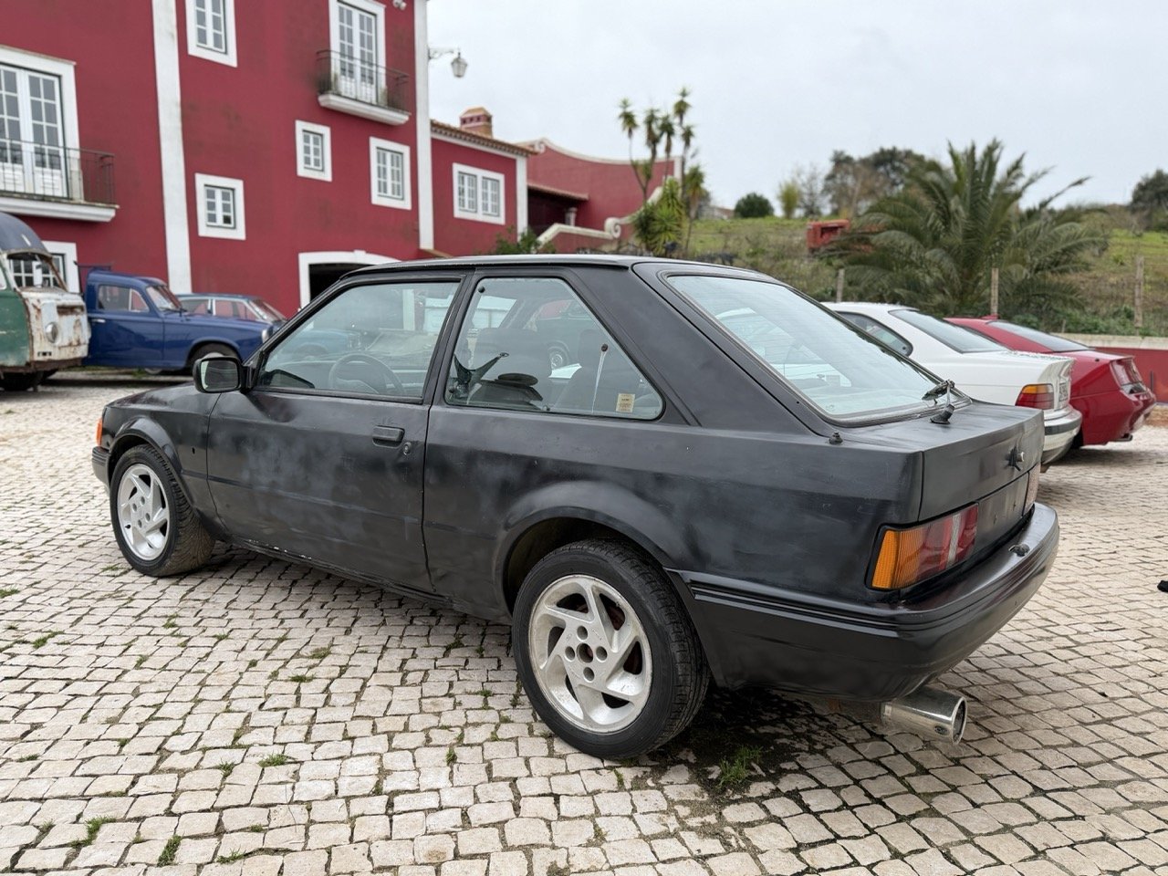 IMG_1255 – grande.jpeg