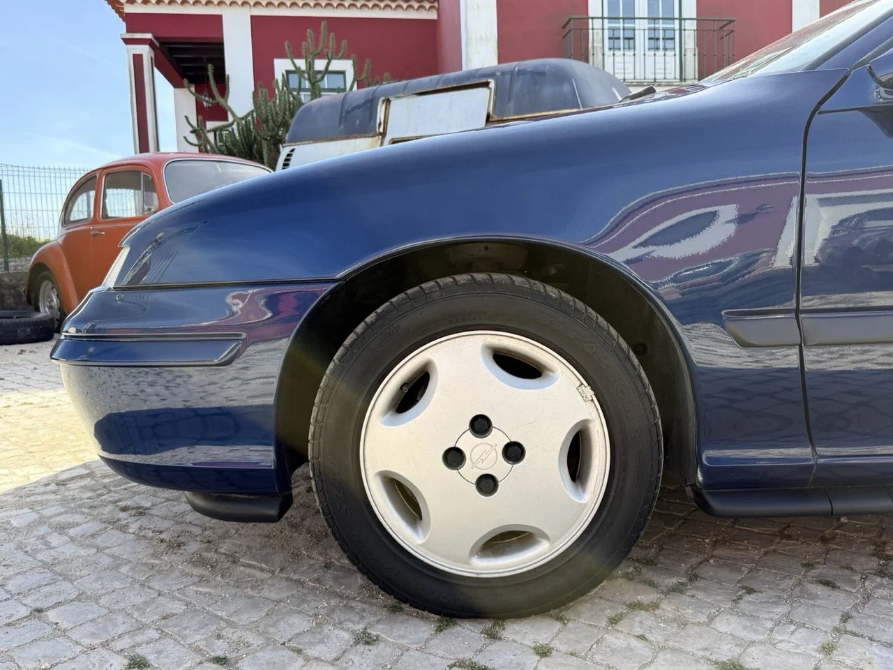 IMG_2476 – grande.jpeg