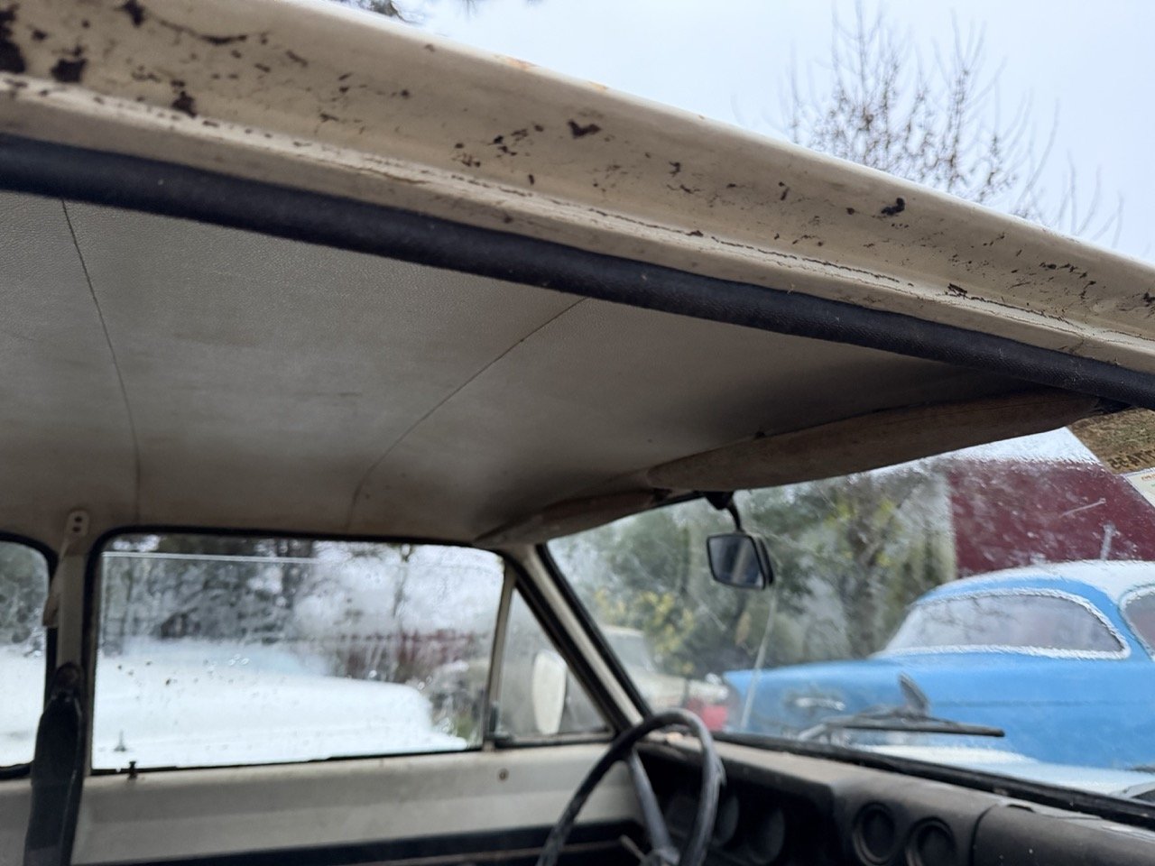 IMG_0139 – grande.jpeg