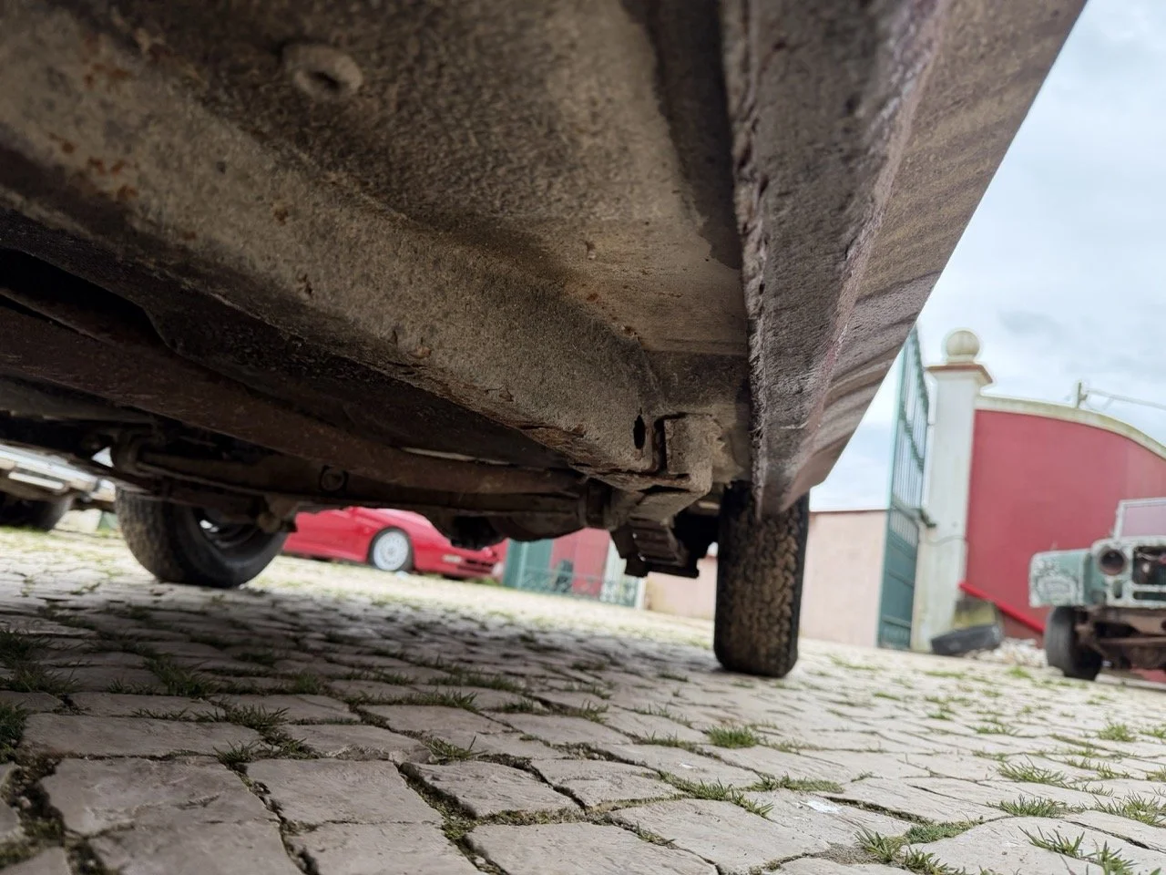 IMG_9659 – grande.jpeg