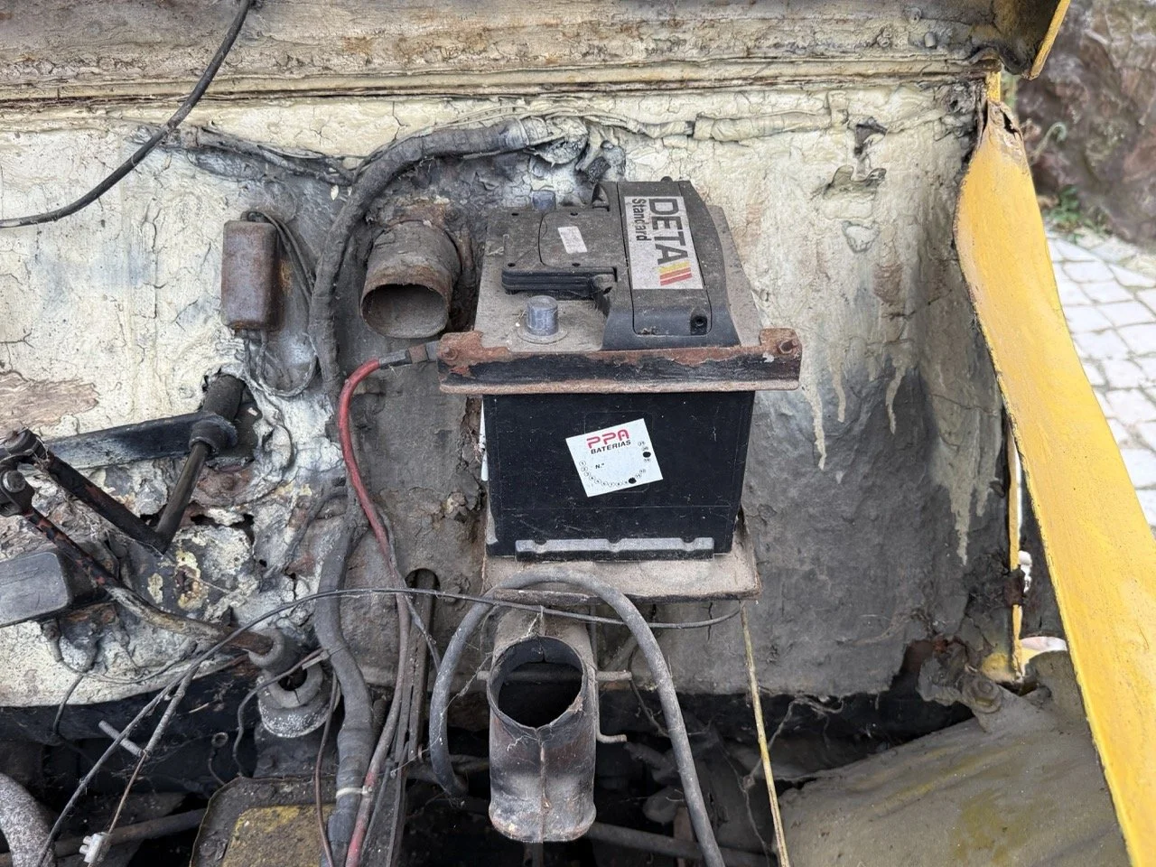 IMG_3831 – grande.jpeg