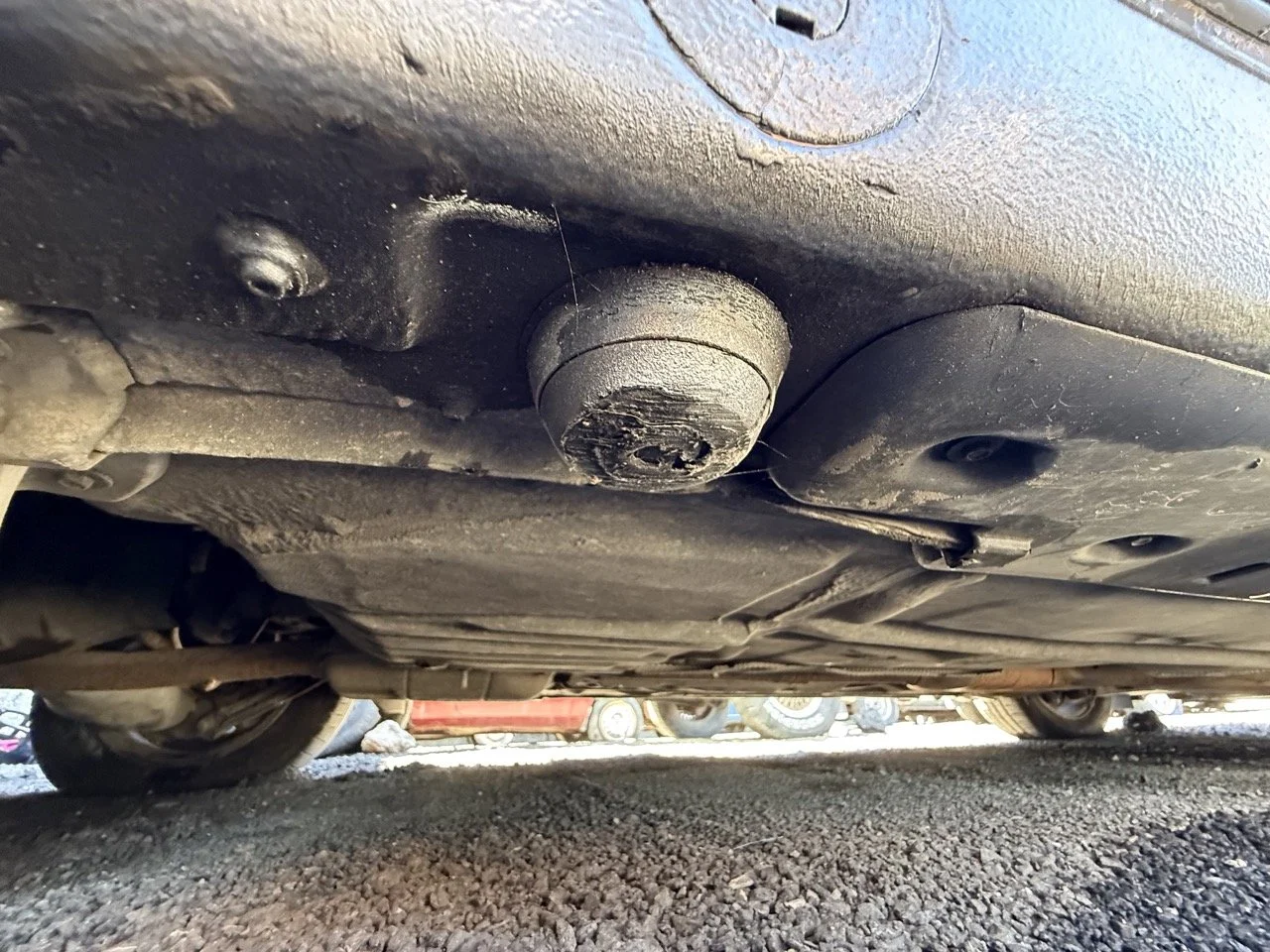 IMG_1804 – grande.jpeg