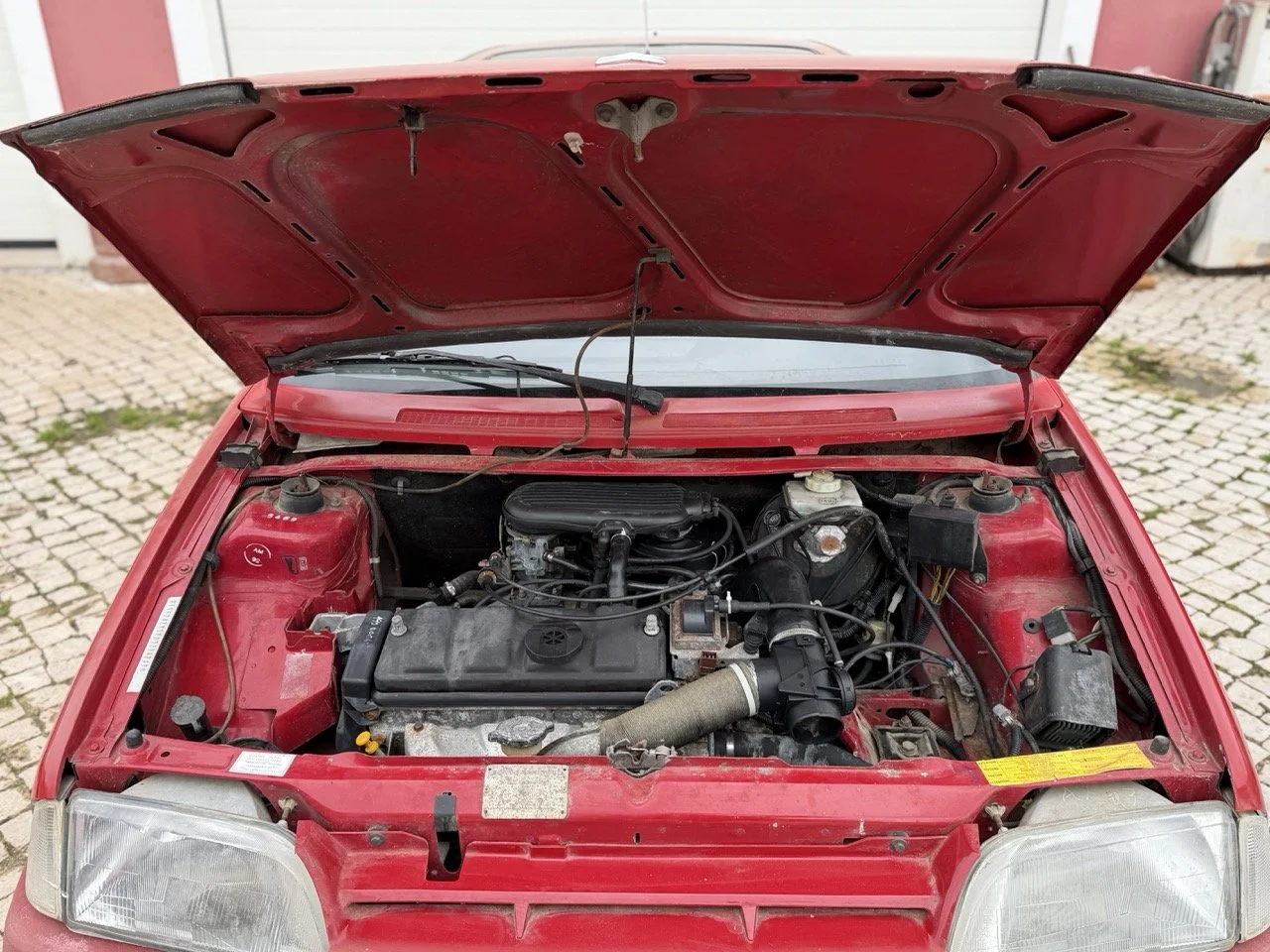 IMG_0433 – grande.jpeg