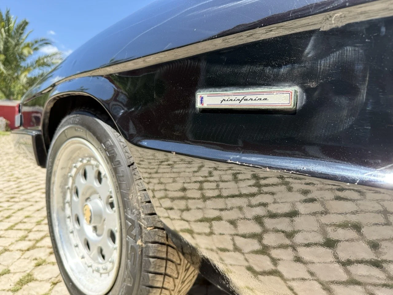 IMG_2164 – grande.jpeg