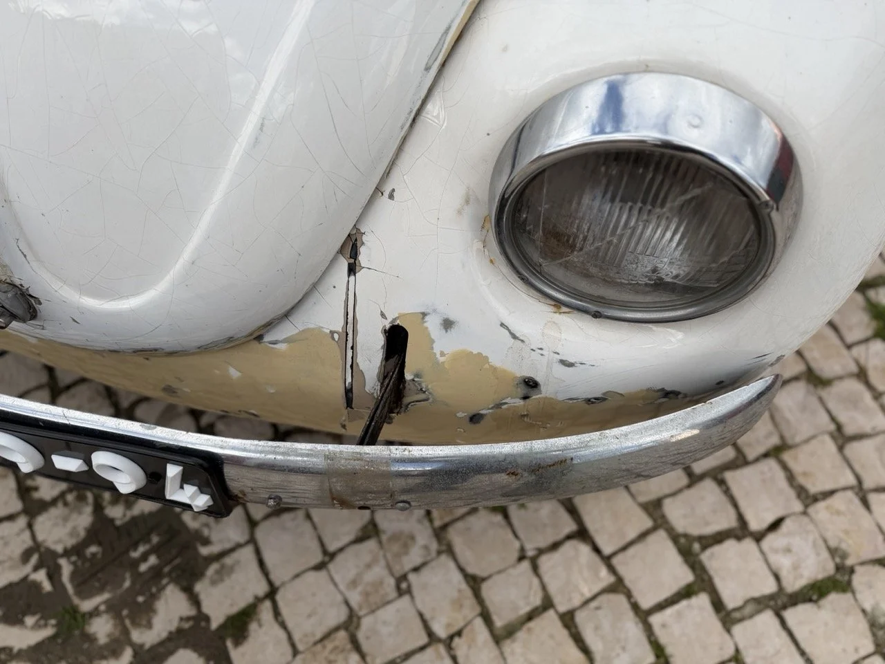 IMG_8661 – grande.jpeg