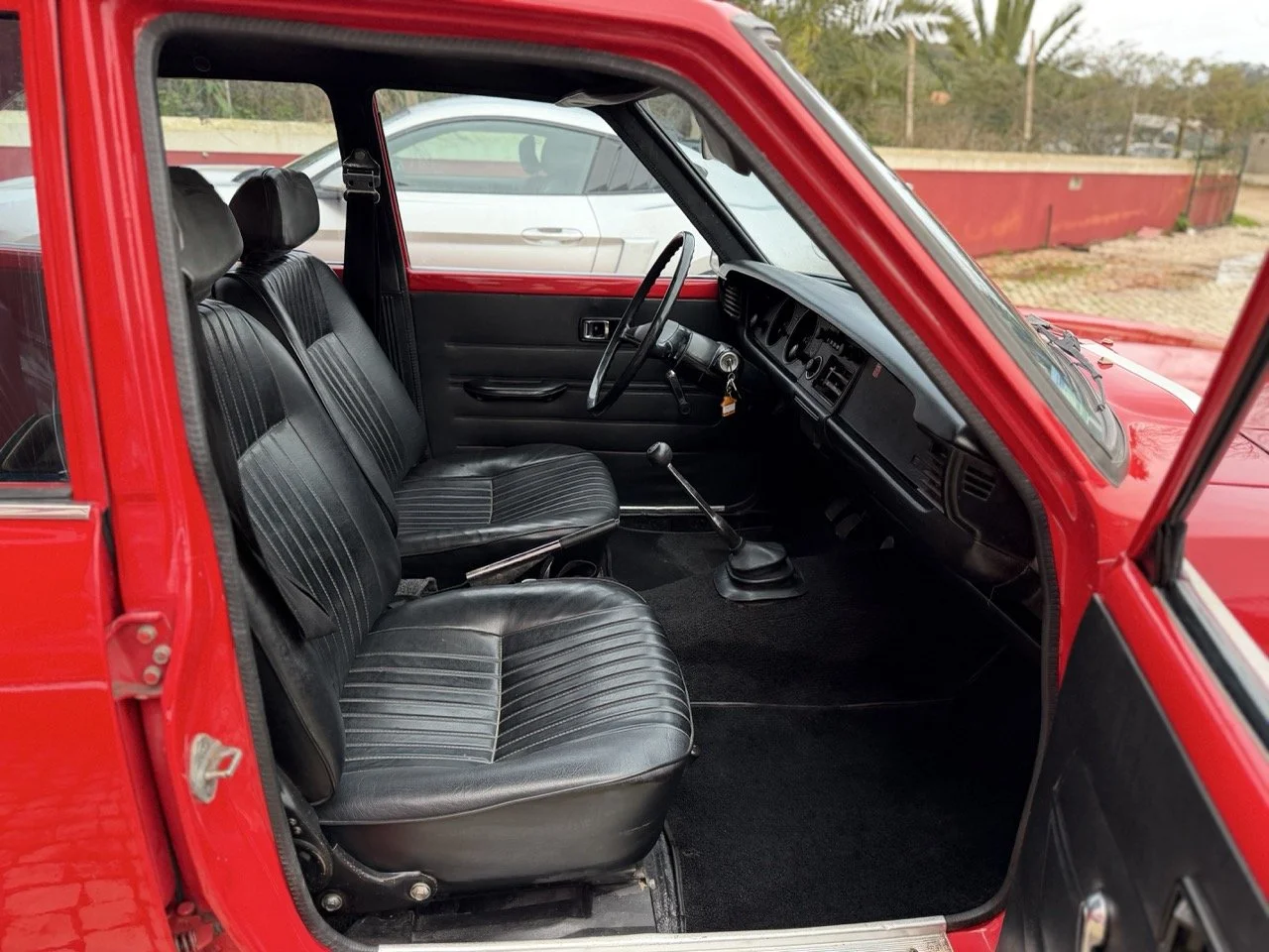 IMG_8231 – grande.jpeg