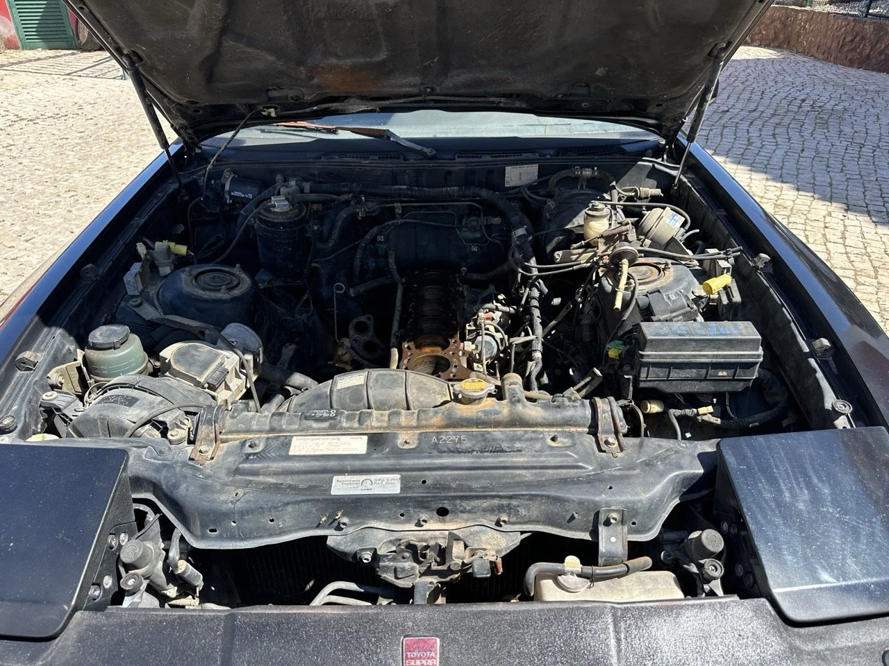 IMG_3062 – grande.jpeg