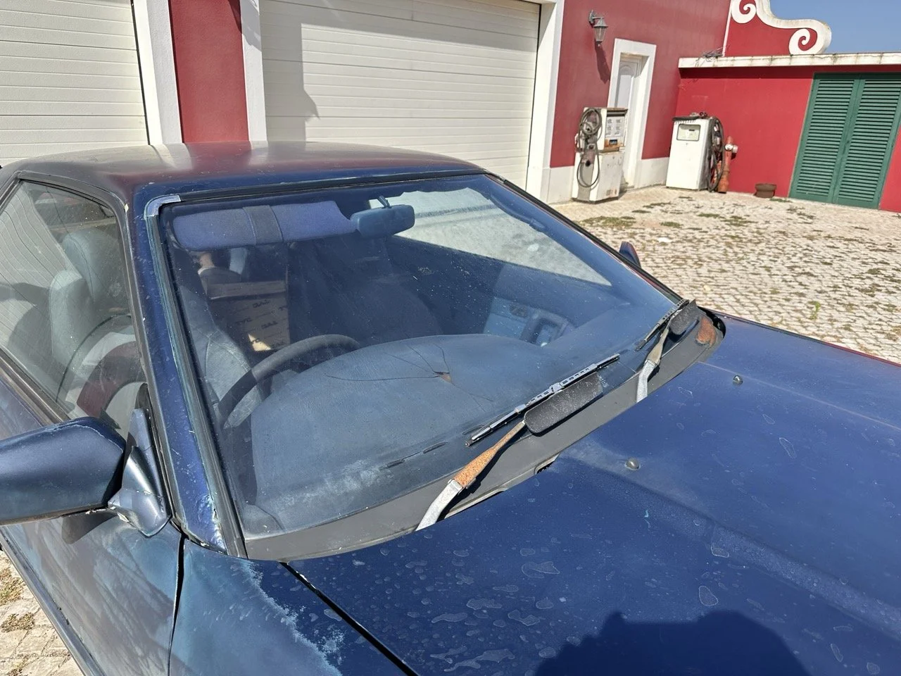 IMG_7221 – grande.jpeg