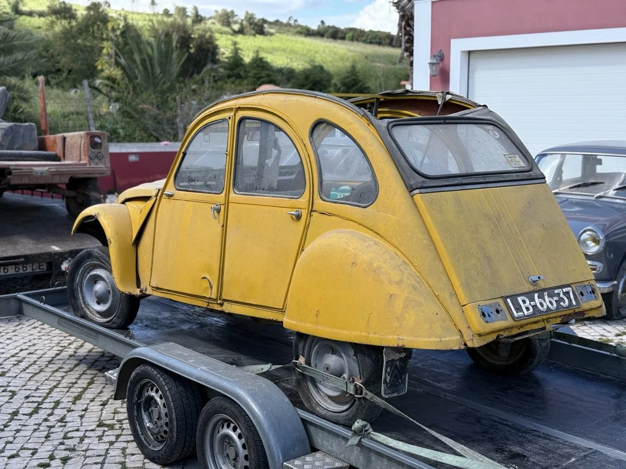 IMG_9080 2 – grande.jpeg