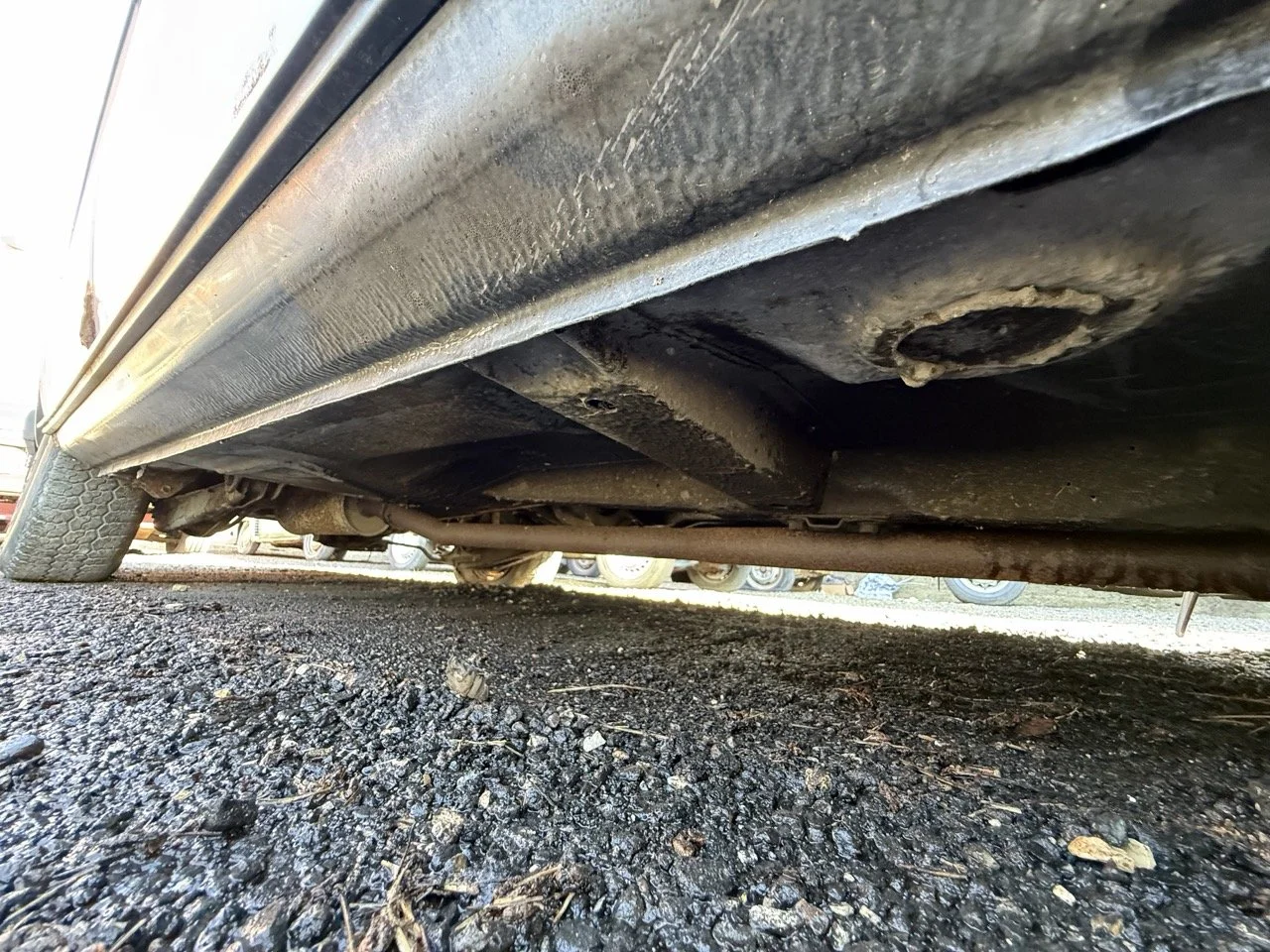 IMG_1233 – grande.jpeg