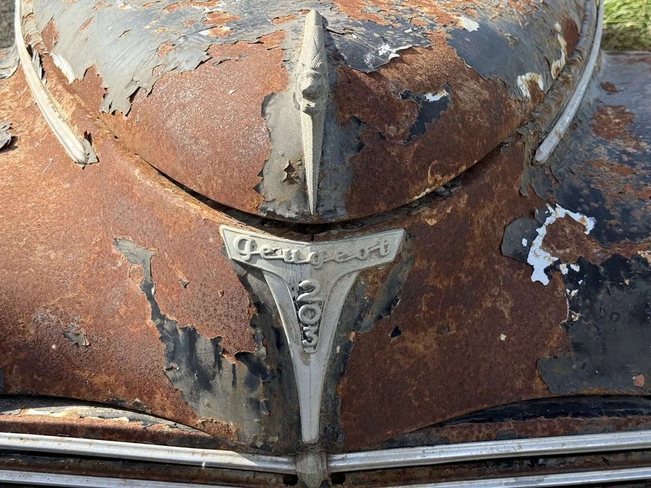 IMG_0396 – grande.jpeg