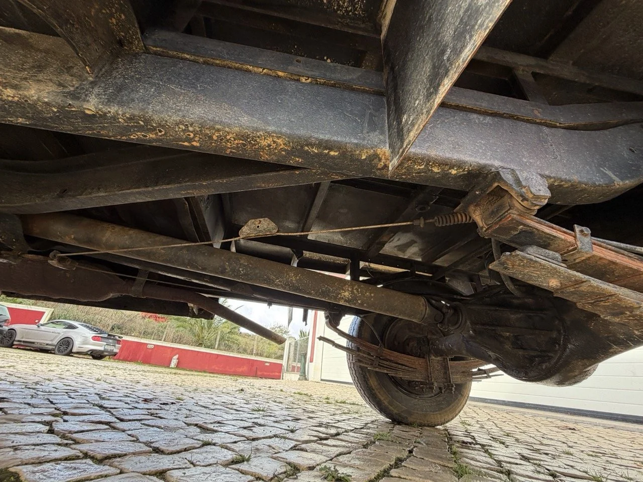 IMG_8141 – grande.jpeg