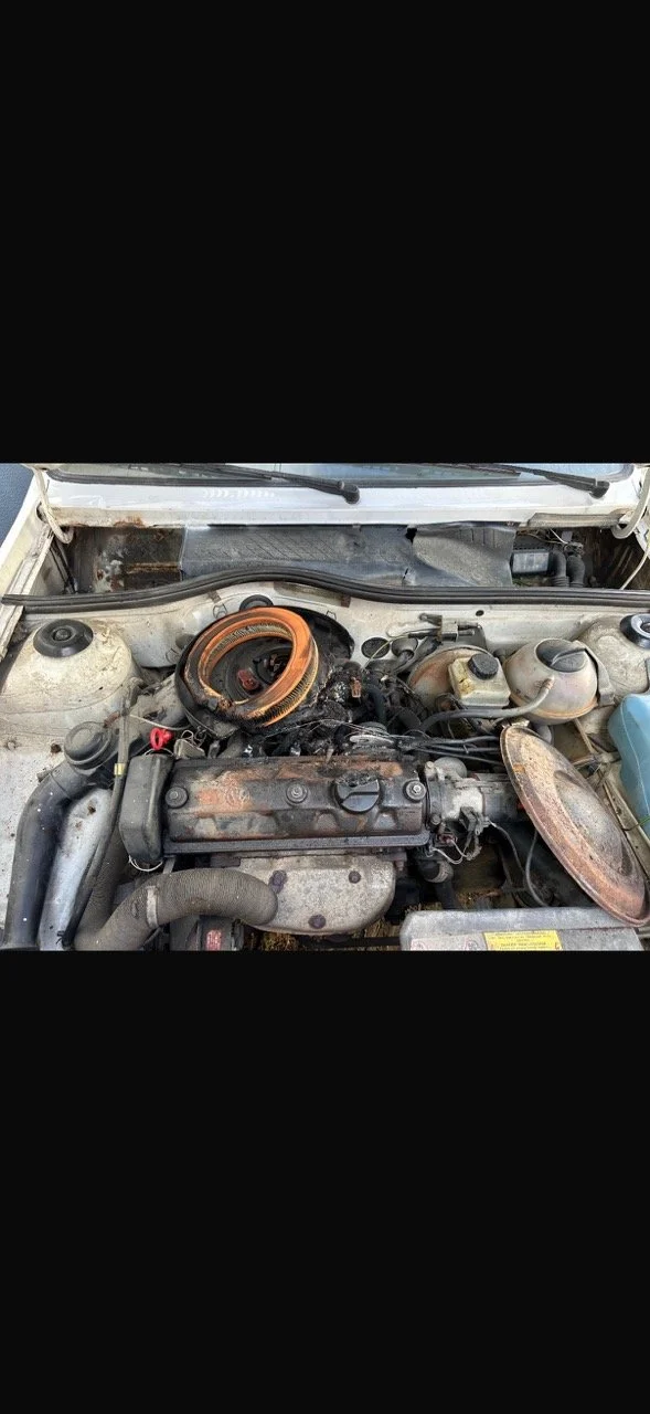 IMG_5272 – grande.jpeg