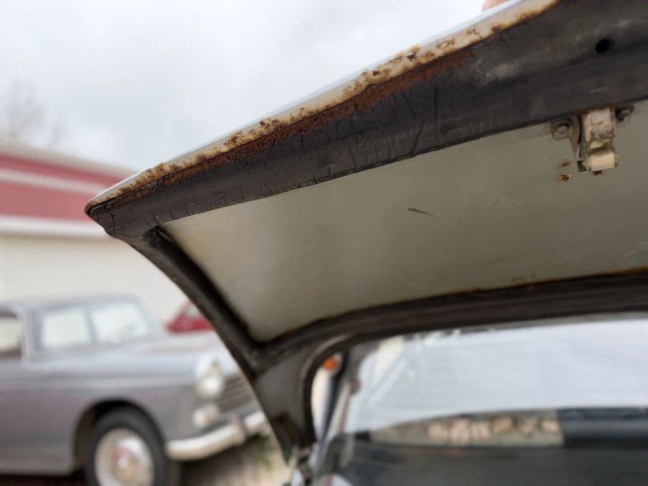 IMG_3713 – grande.jpeg