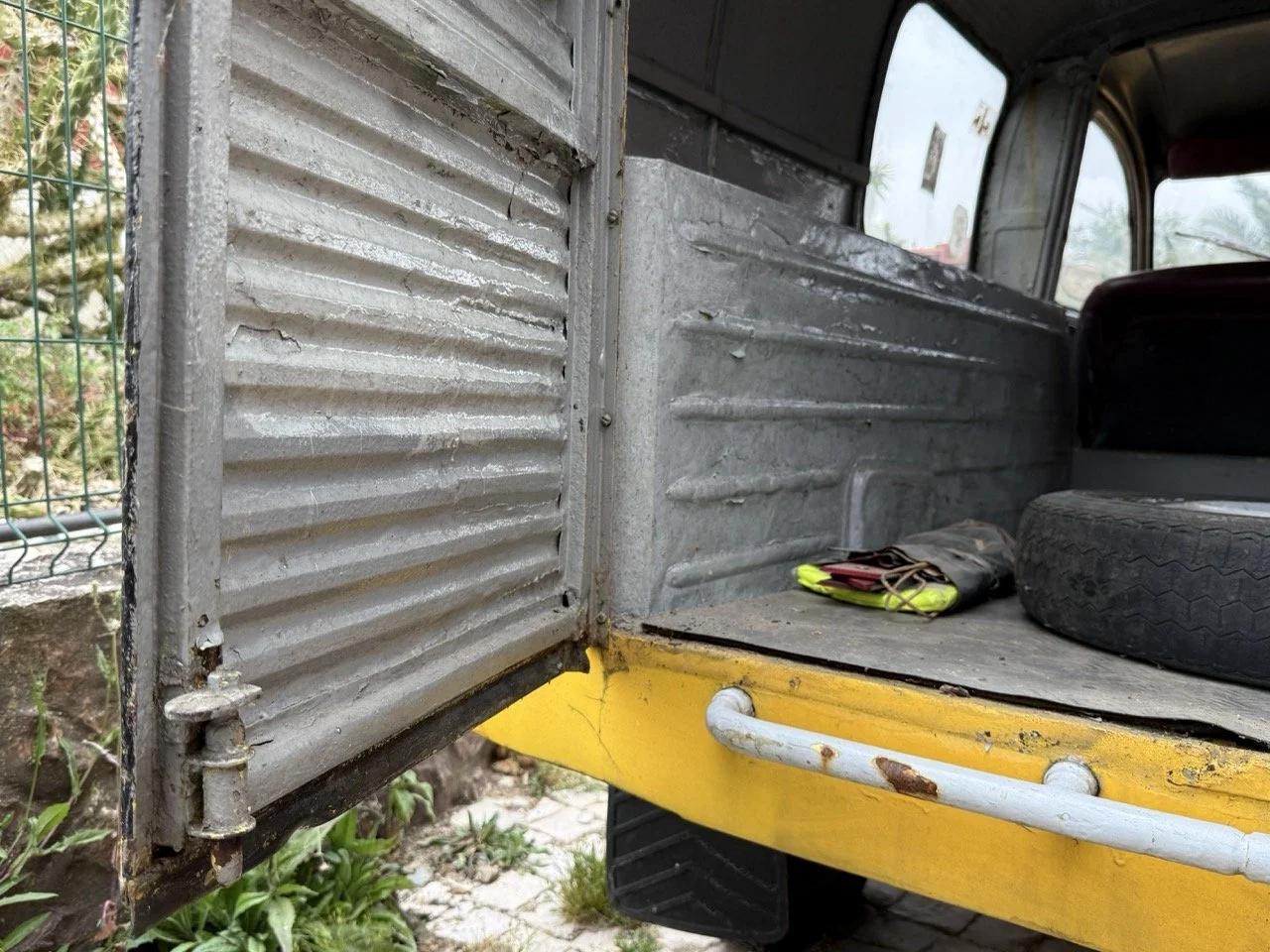 IMG_3780 – grande.jpeg