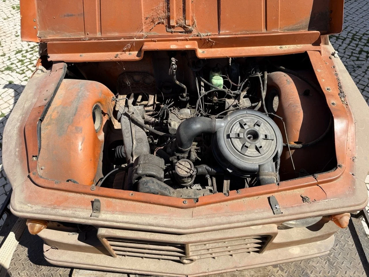 IMG_9069 – grande.jpeg