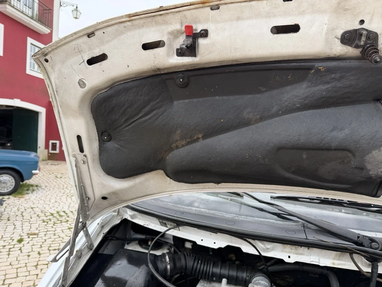 IMG_9561 – grande.jpeg