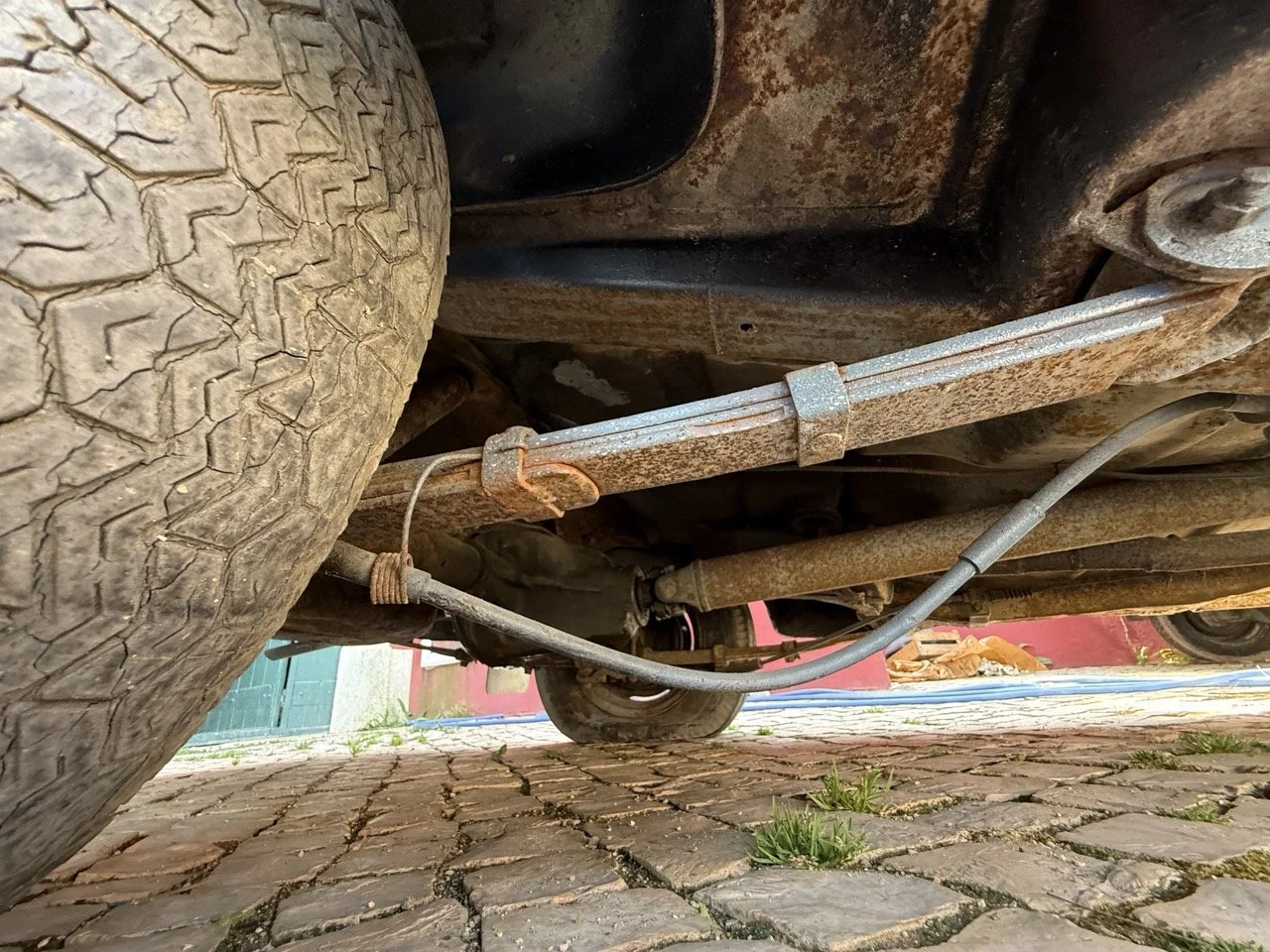 IMG_3565 – grande.jpeg