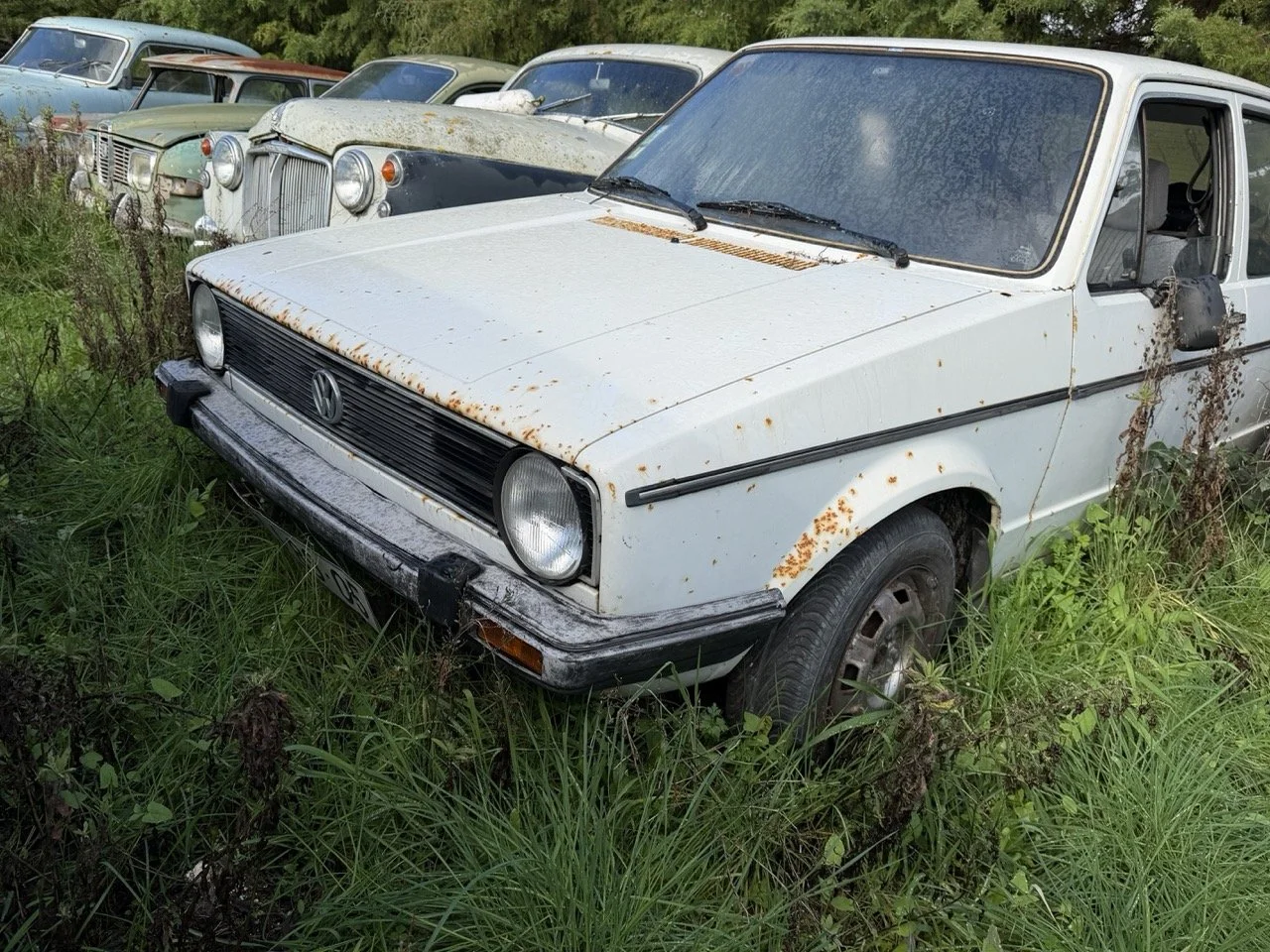 IMG_5175 – grande.jpeg