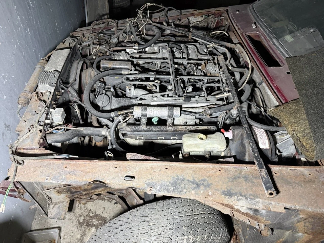 IMG_4235 – grande.jpeg