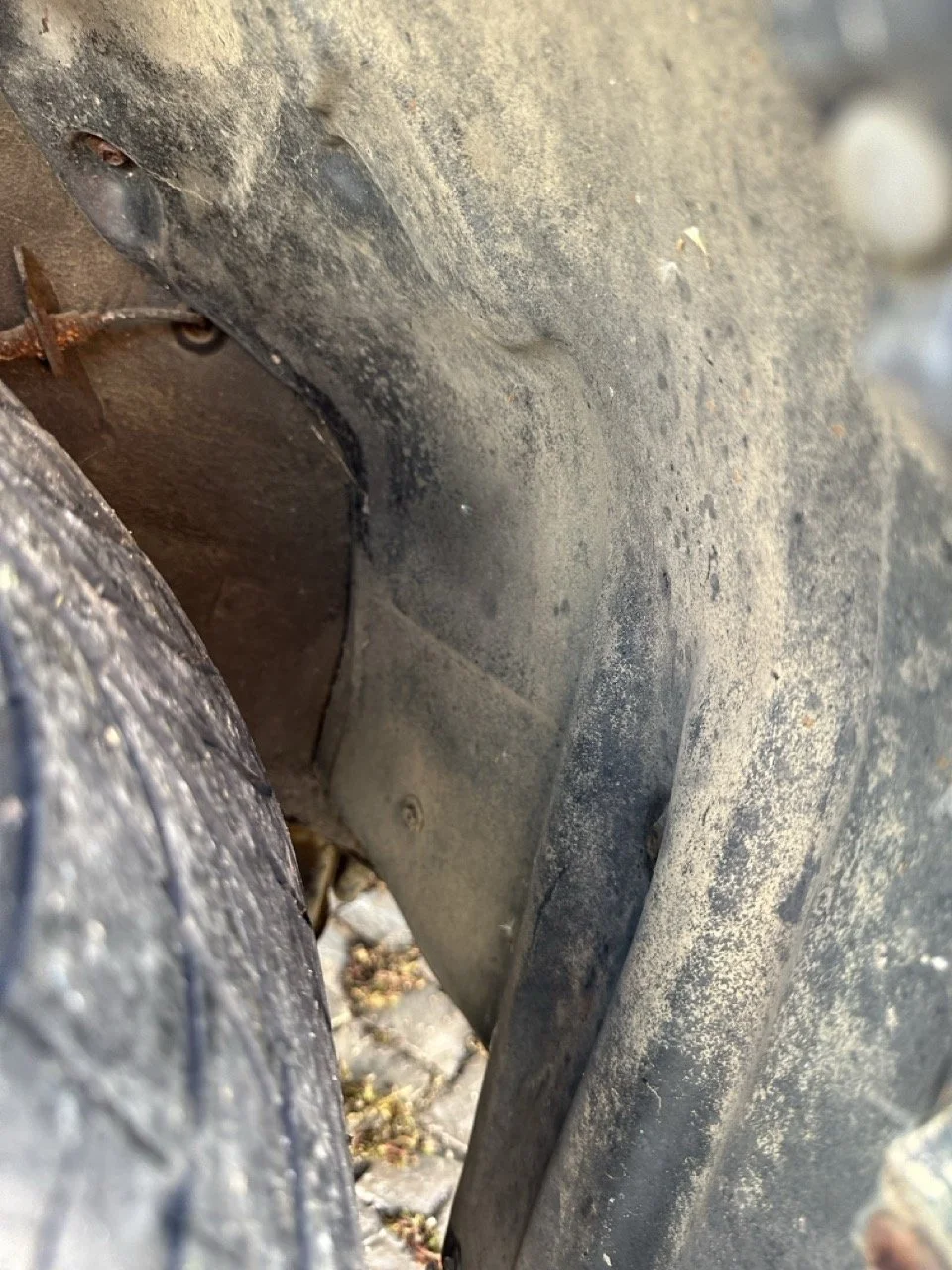 IMG_7241 – grande.jpeg