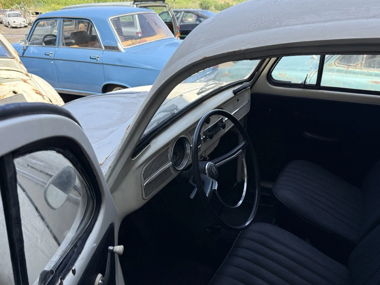 IMG_0682 – grande.jpeg