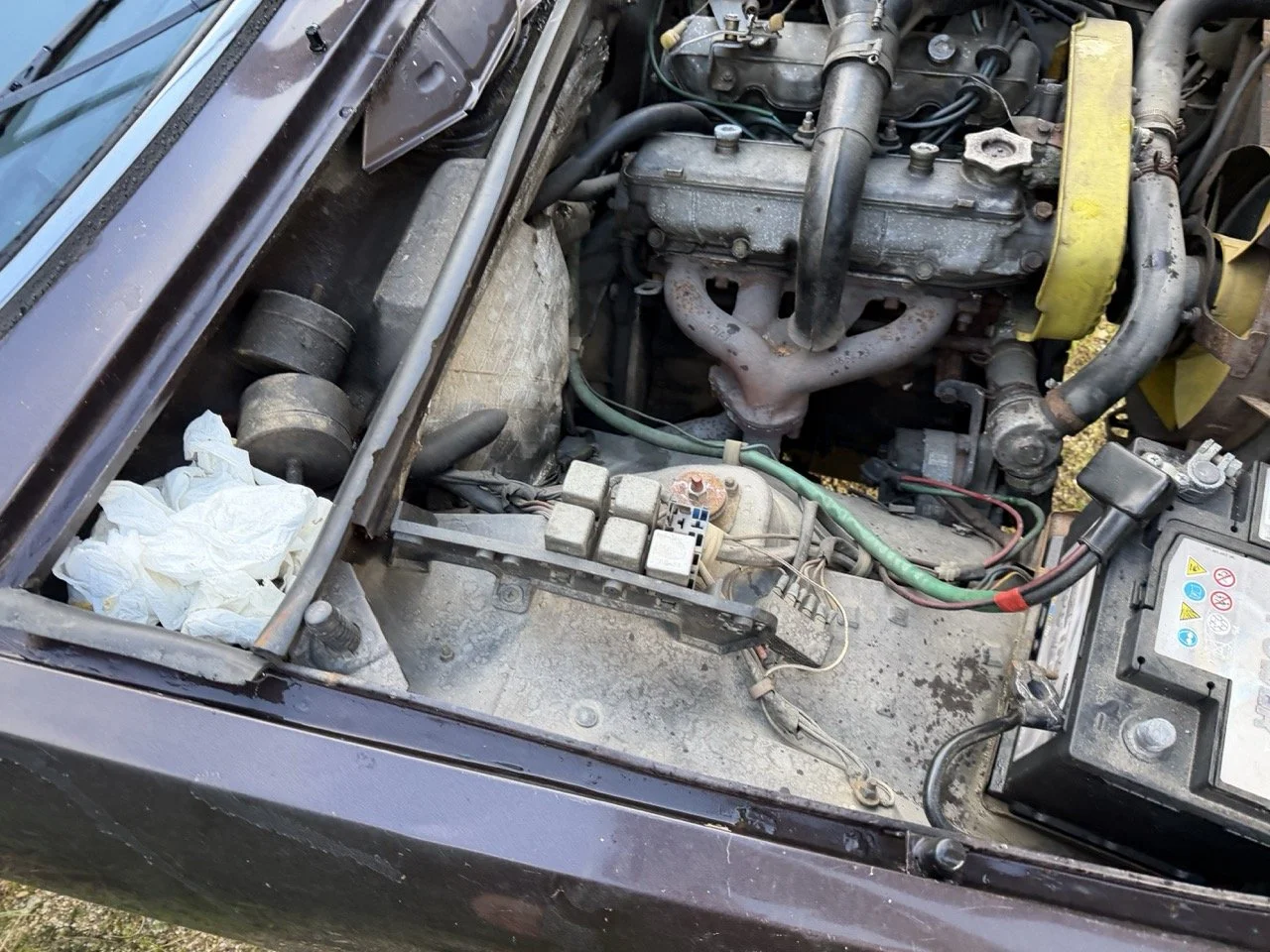 IMG_5285 – grande.jpeg