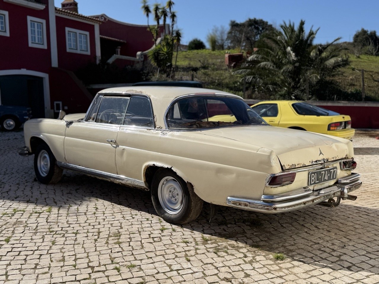 IMG_7001 – grande.jpeg