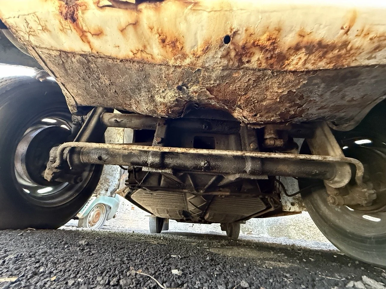 IMG_0734 – grande.jpeg