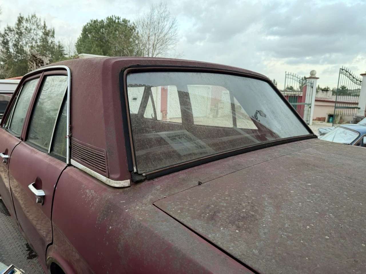 IMG_8997 – grande.jpeg