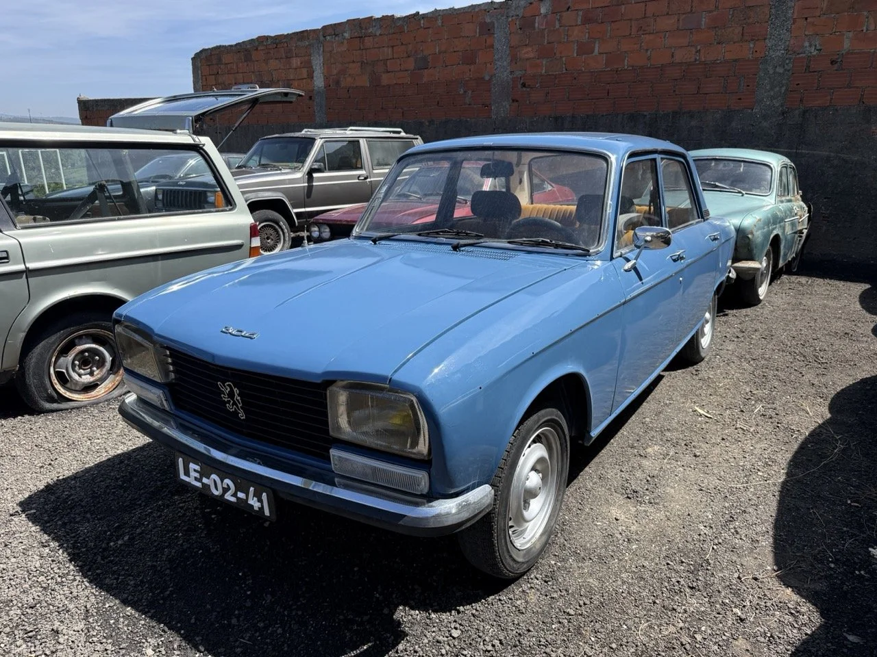 IMG_0737 – grande.jpeg