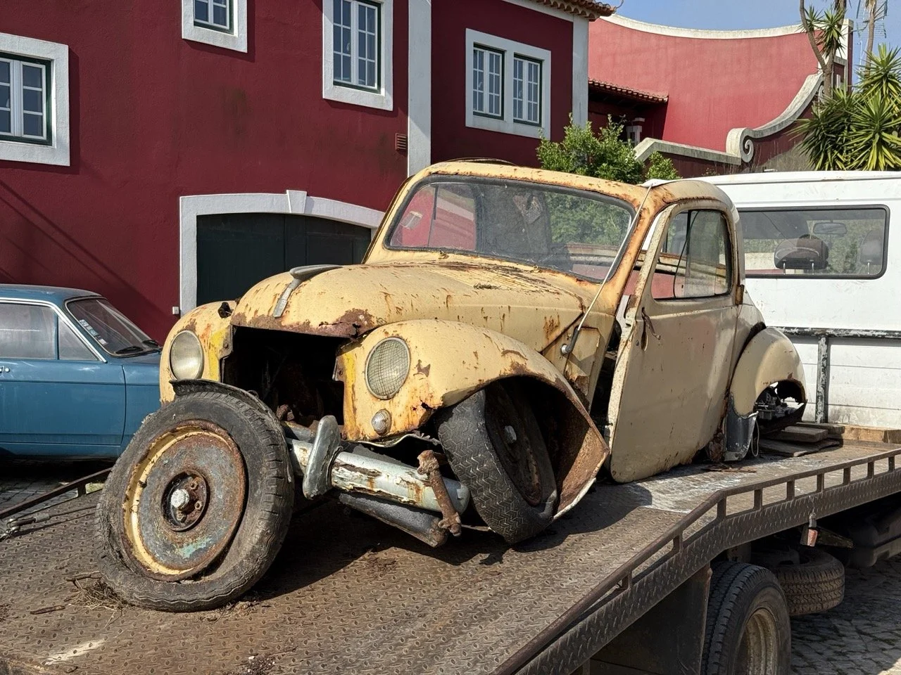 IMG_3157 – grande.jpeg